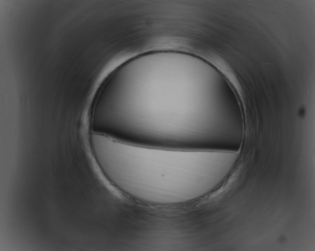 X0000101981053200807180756