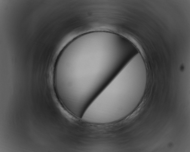 X0000101981054200807180756