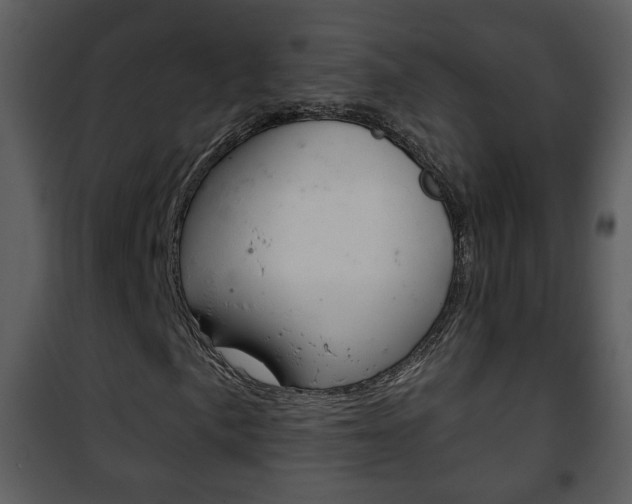 X0000101981057200807180755