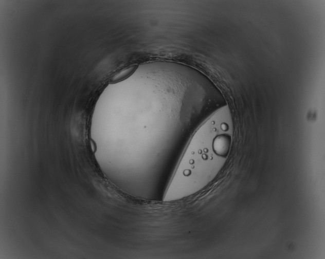 X0000101981058200807180755