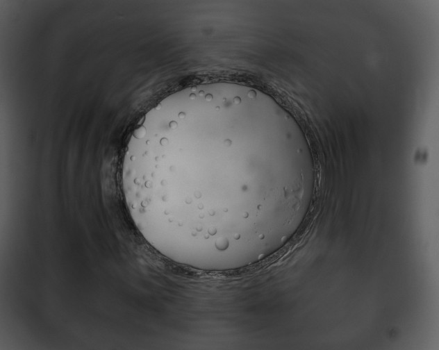 X0000101981059200807180755
