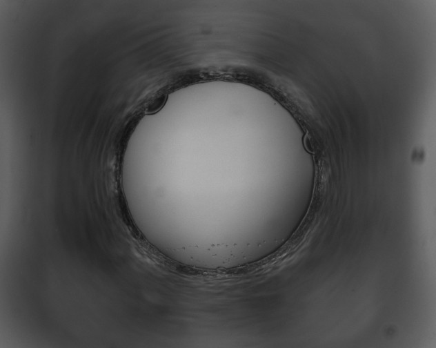 X0000101981060200807180755