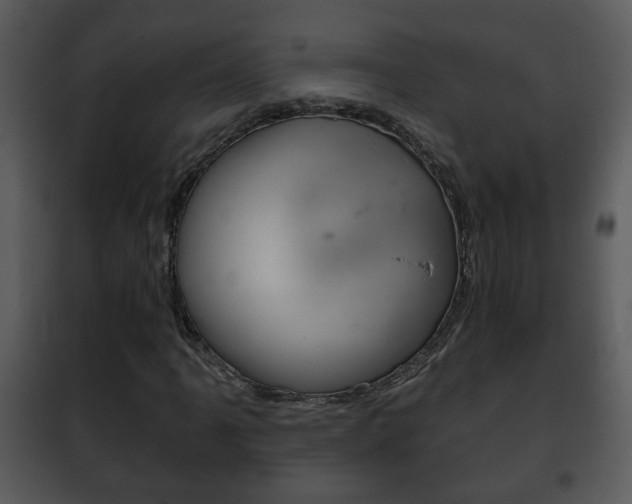 X0000101981061200807180755