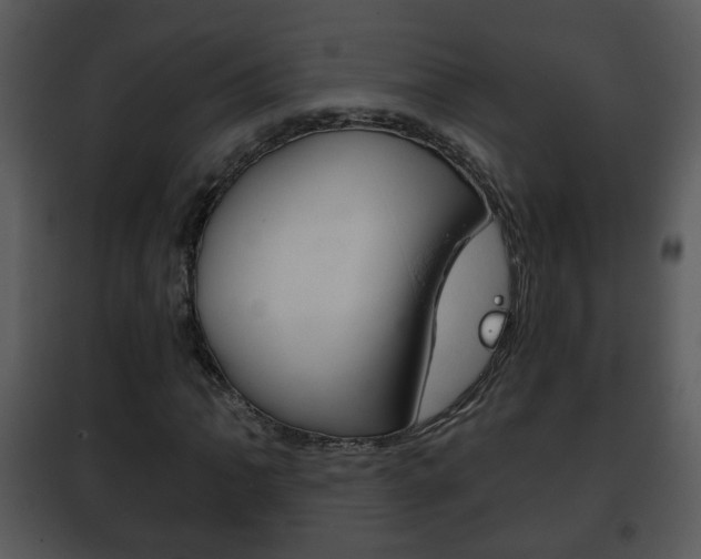 X0000101981062200807180755