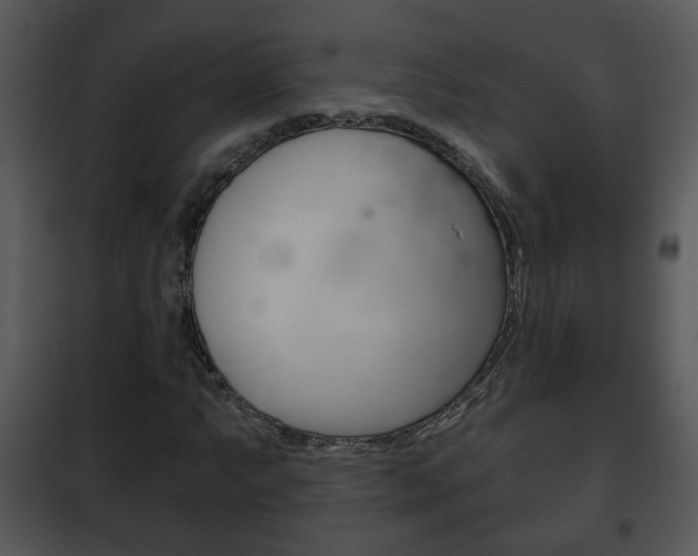 X0000101981063200807180755