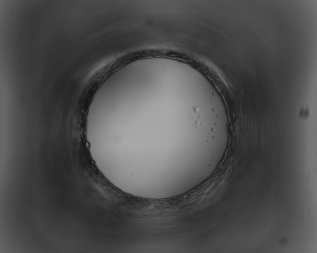 X0000101981064200807180755
