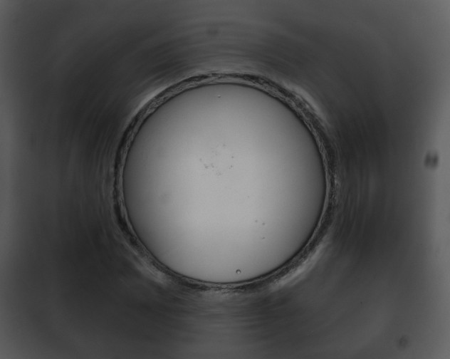 X0000101981065200807180755