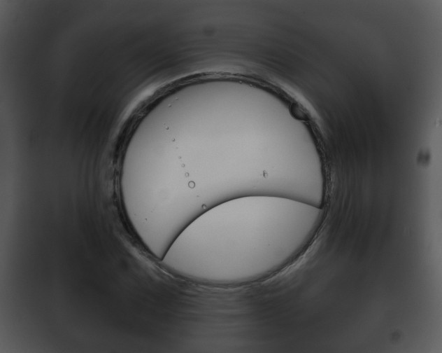 X0000101981067200807180755