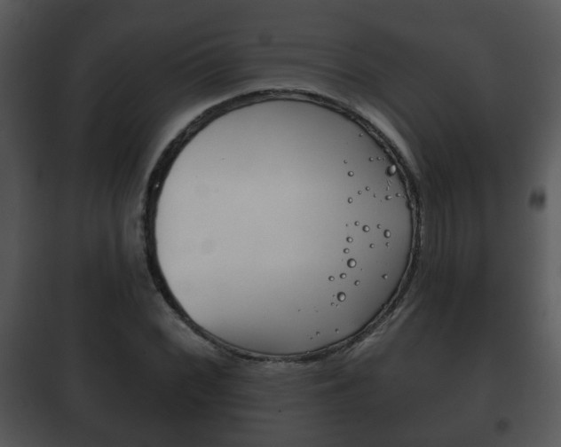 X0000101981068200807180755