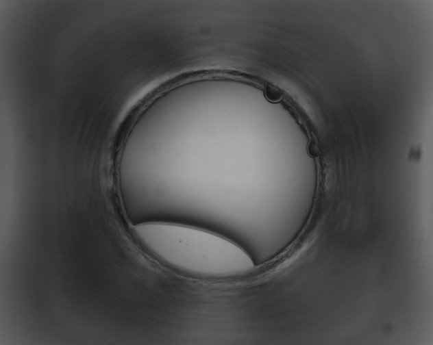 X0000101981069200807180755