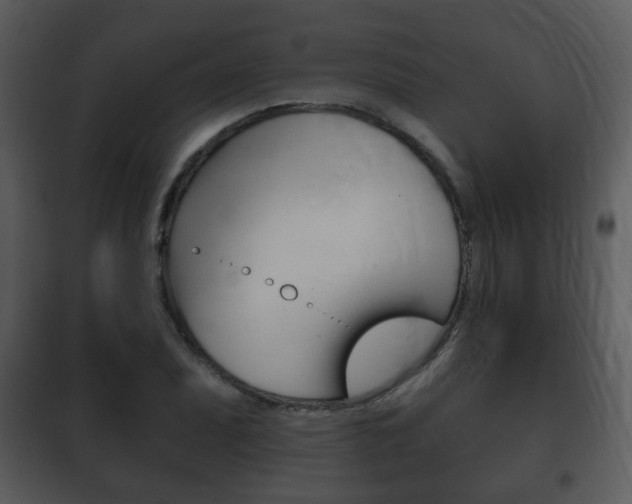 X0000101981071200807180755