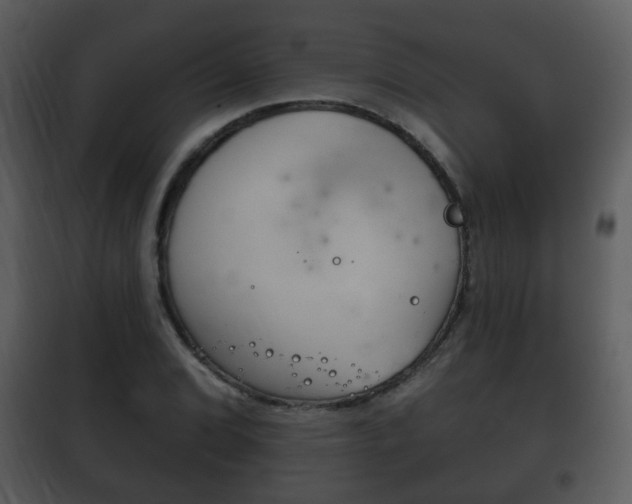 X0000101981072200807180755