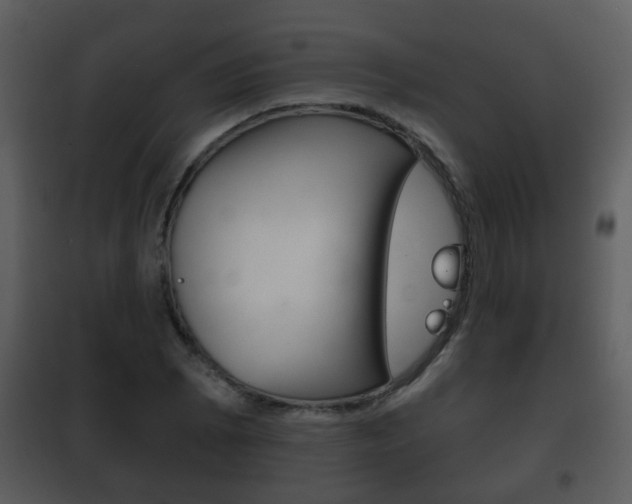 X0000101981073200807180755