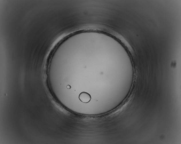X0000101981075200807180755
