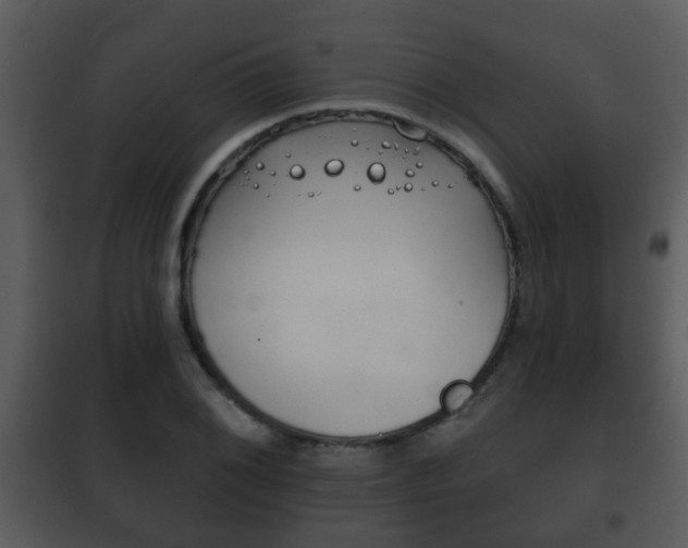 X0000101981076200807180755