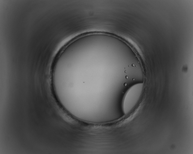 X0000101981077200807180755
