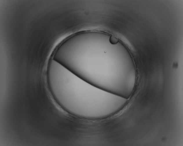 X0000101981079200807180754