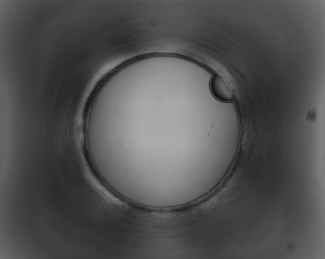 X0000101981080200807180754