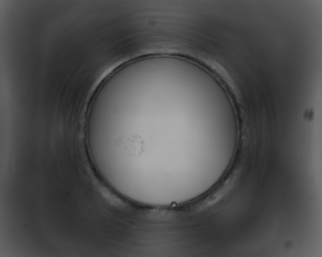 X0000101981081200807180754