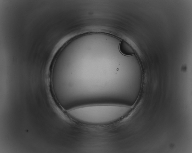 X0000101981082200807180754