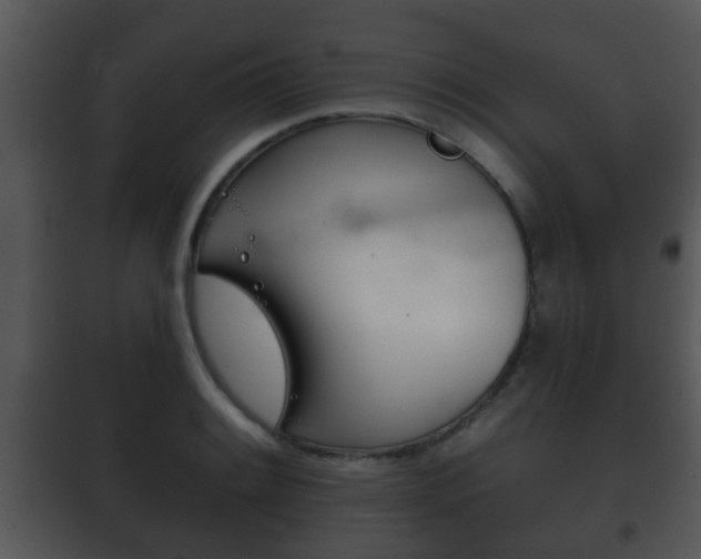 X0000101981084200807180754