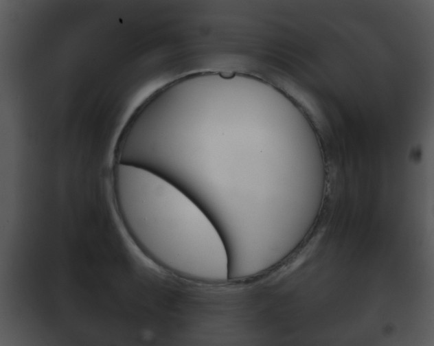 X0000101981087200807180754