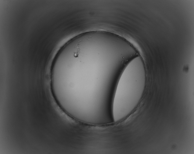 X0000101981088200807180754