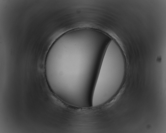 X0000101981089200807180754