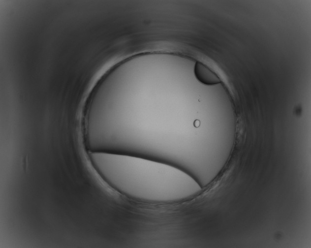 X0000101981091200807180754