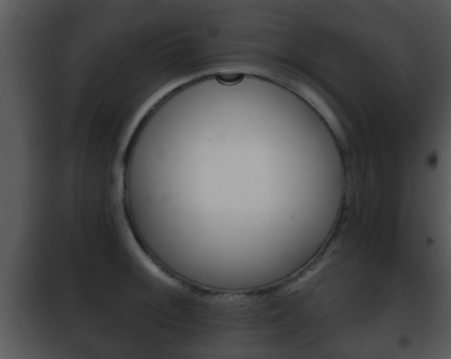 X0000101981092200807180754