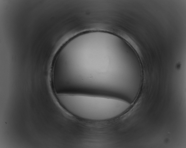 X0000101981093200807180754