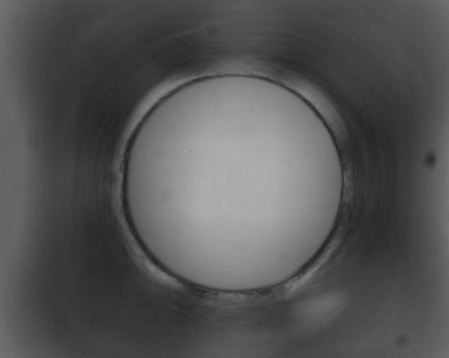 X0000101981094200807180754