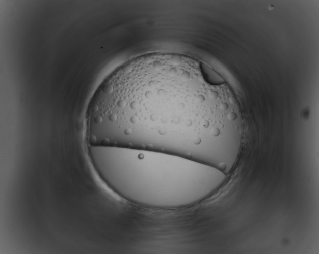 X0000101981095200807180754