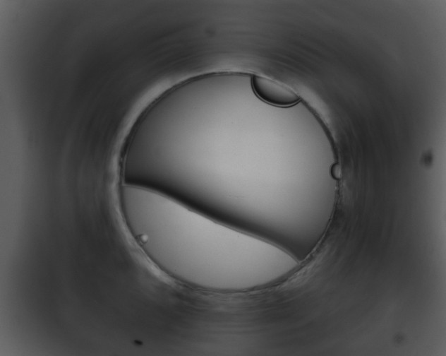 X0000101981096200807180754