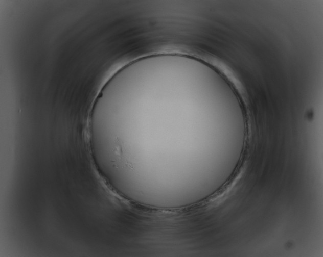 X0000101981097200807180754