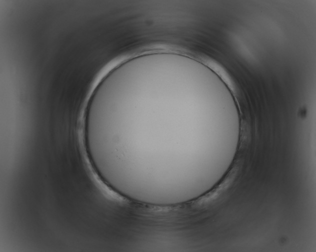 X0000101981098200807180754
