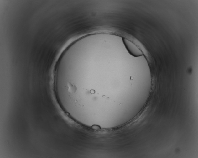 X0000101981099200807180754