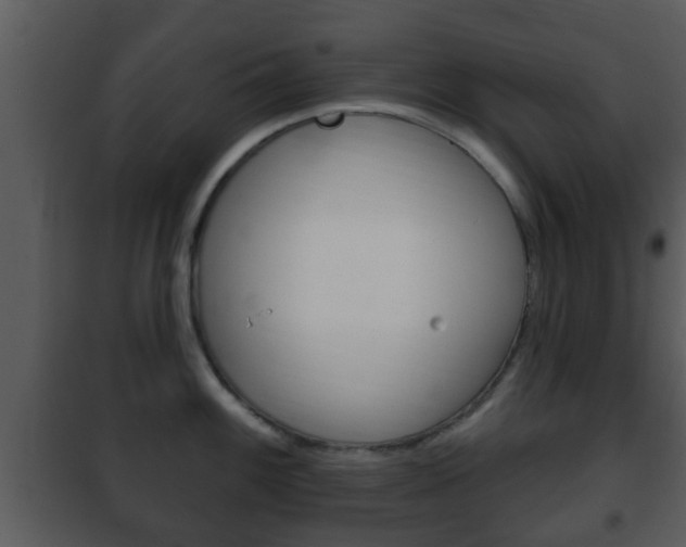 X0000101981100200807180754