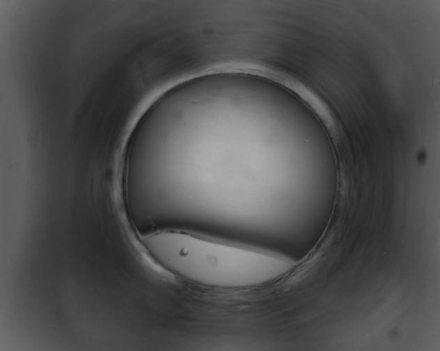 X0000101981102200807180754