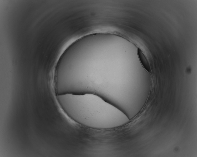 X0000101981103200807180754