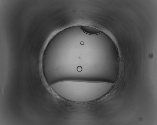 X0000101981104200807180754