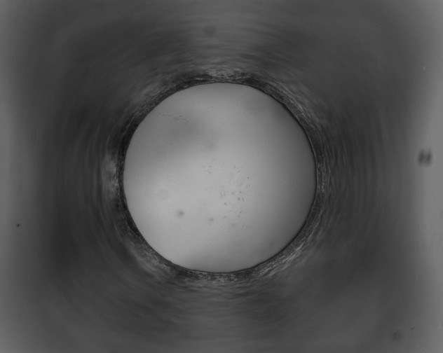 X0000101981106200807180753