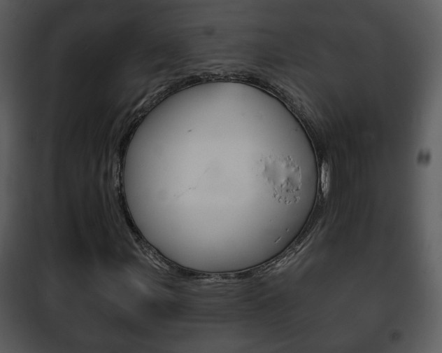 X0000101981107200807180753