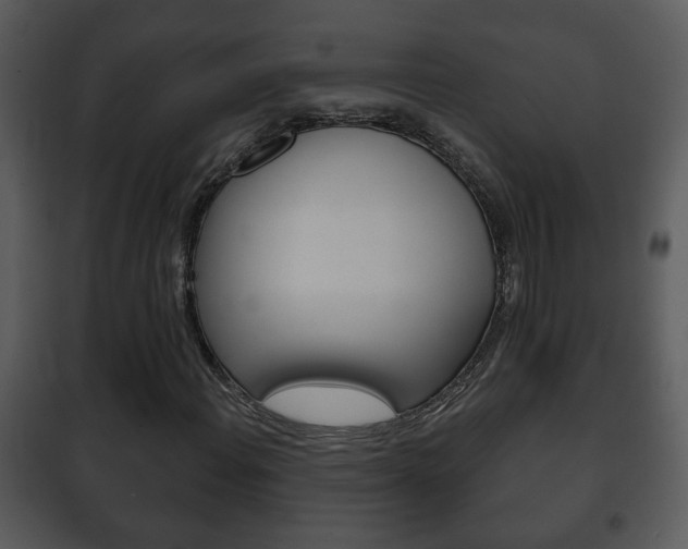 X0000101981108200807180753