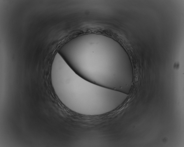 X0000101981109200807180753