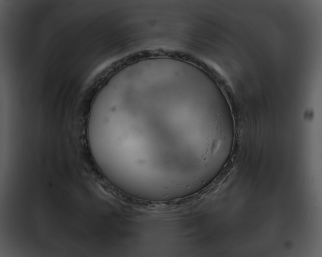 X0000101981112200807180753