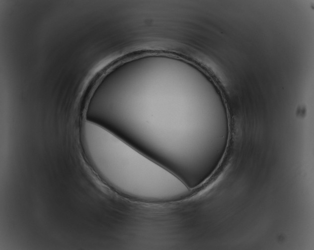 X0000101981114200807180753