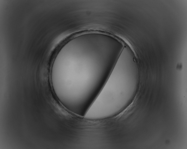 X0000101981115200807180754