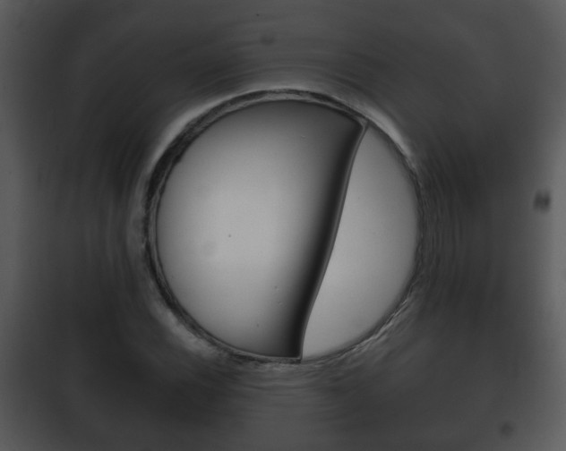X0000101981116200807180754