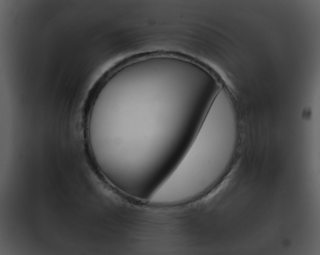 X0000101981118200807180754